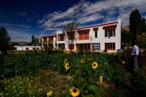 Hotel De Oasis Villa Leh