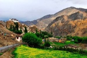 Srinagar and Ladakh Package