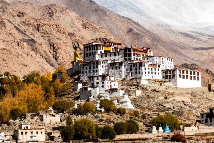 Ladakh Packages