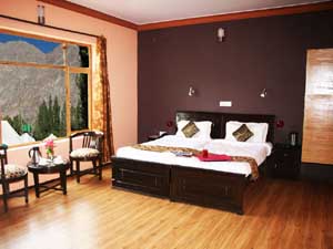 Hotel The Palace Leh