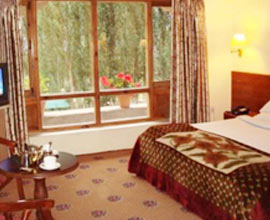 Hotel Caravan Centre Leh