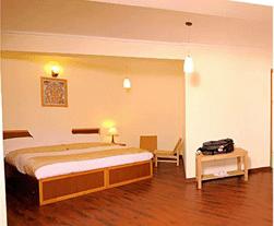 Hotel Ladakh Residency Leh