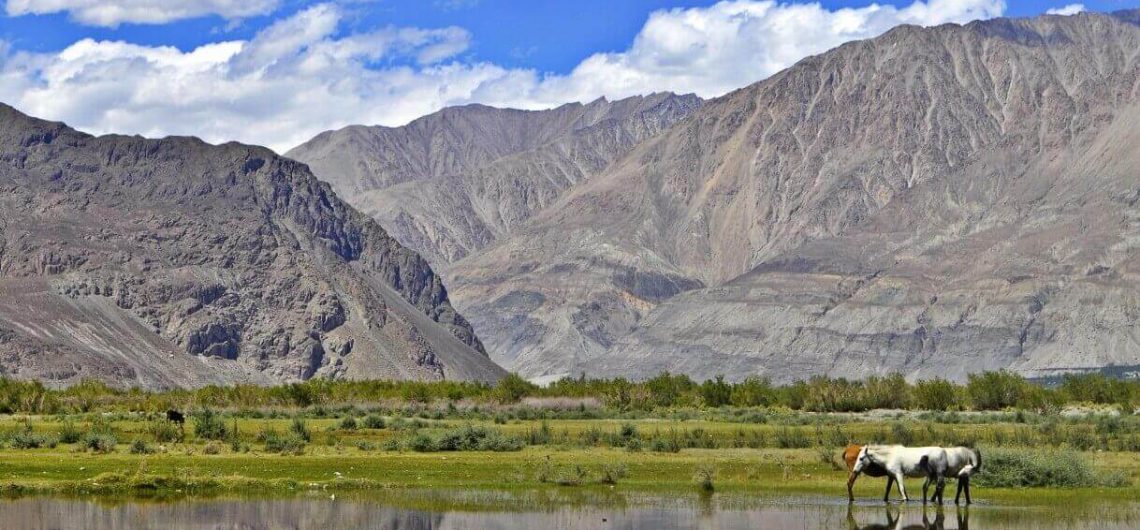 Hunder (Hundar) - Sand Dunes of Ladakh - Discover Leh Ladakh