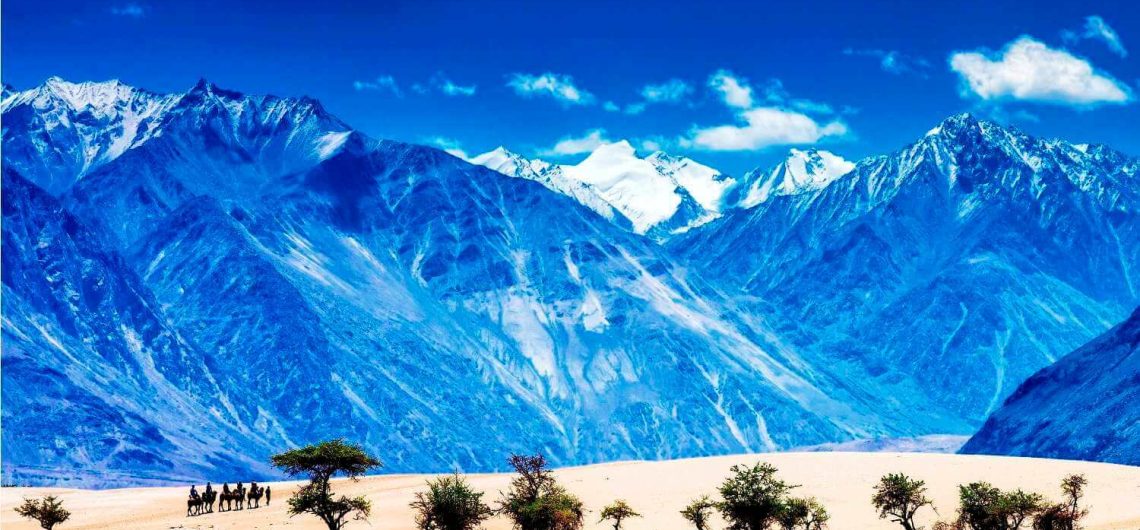 Nubra Valley Leh Ladakh India-september2 2018 Stock Photo 1493565671