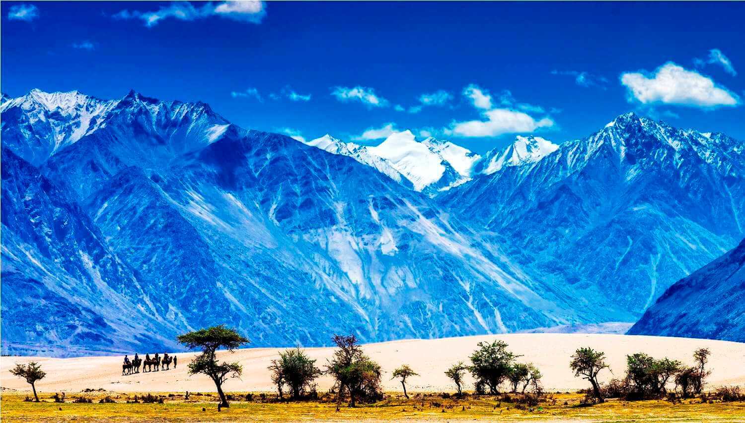 📍Nubra Valley, Leh, Ladakh, India Its inhabited areas form a tri-arme