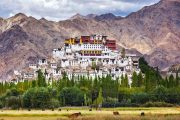 Thiksey monastery Leh