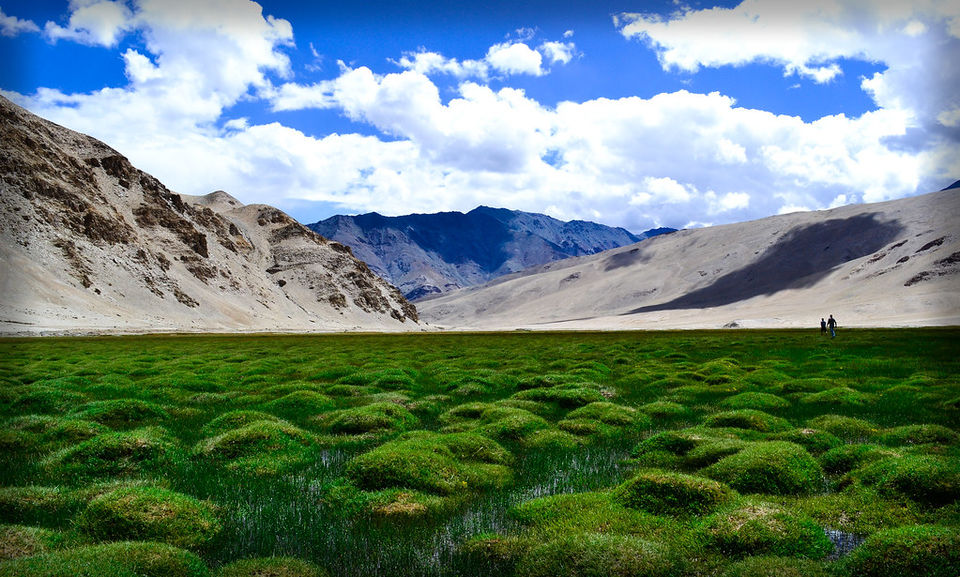 Puga valley, Ladakh