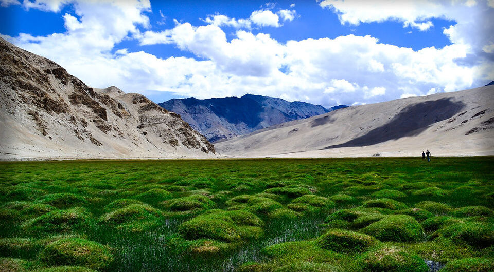 Puga Valley in Leh Ladakh
