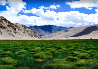 Puga valley tour package - Leh Ladakh