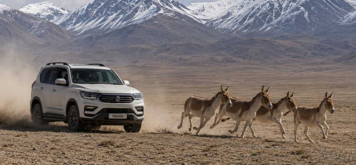 Illegal offroading by tourists in Ladakh is a threat to wildlife and ecology (Representational image)