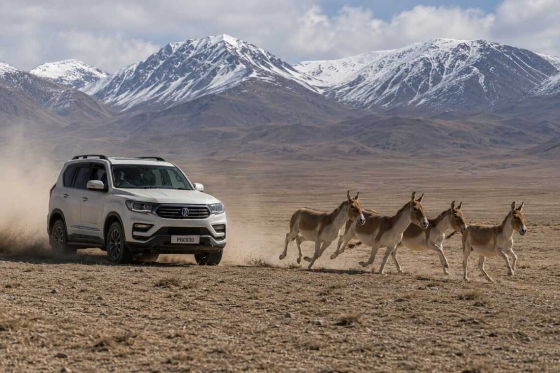 Illegal offroading by tourists in Ladakh is a threat to wildlife and ecology (Representational image)